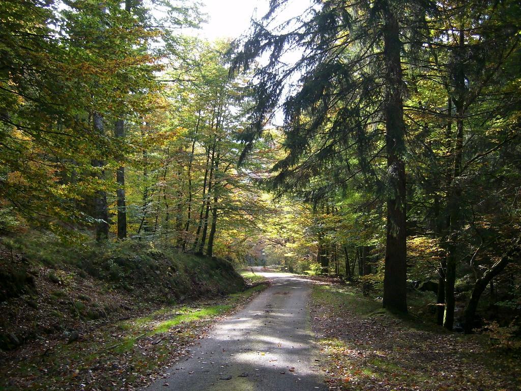 Chalet Du Montal Dun-les-Places Pokój zdjęcie